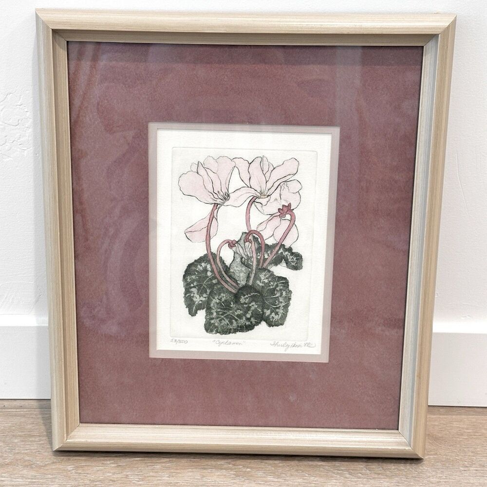 Shirley Hines Floral Framed Botanical Art Limited Edition Still Life Signed